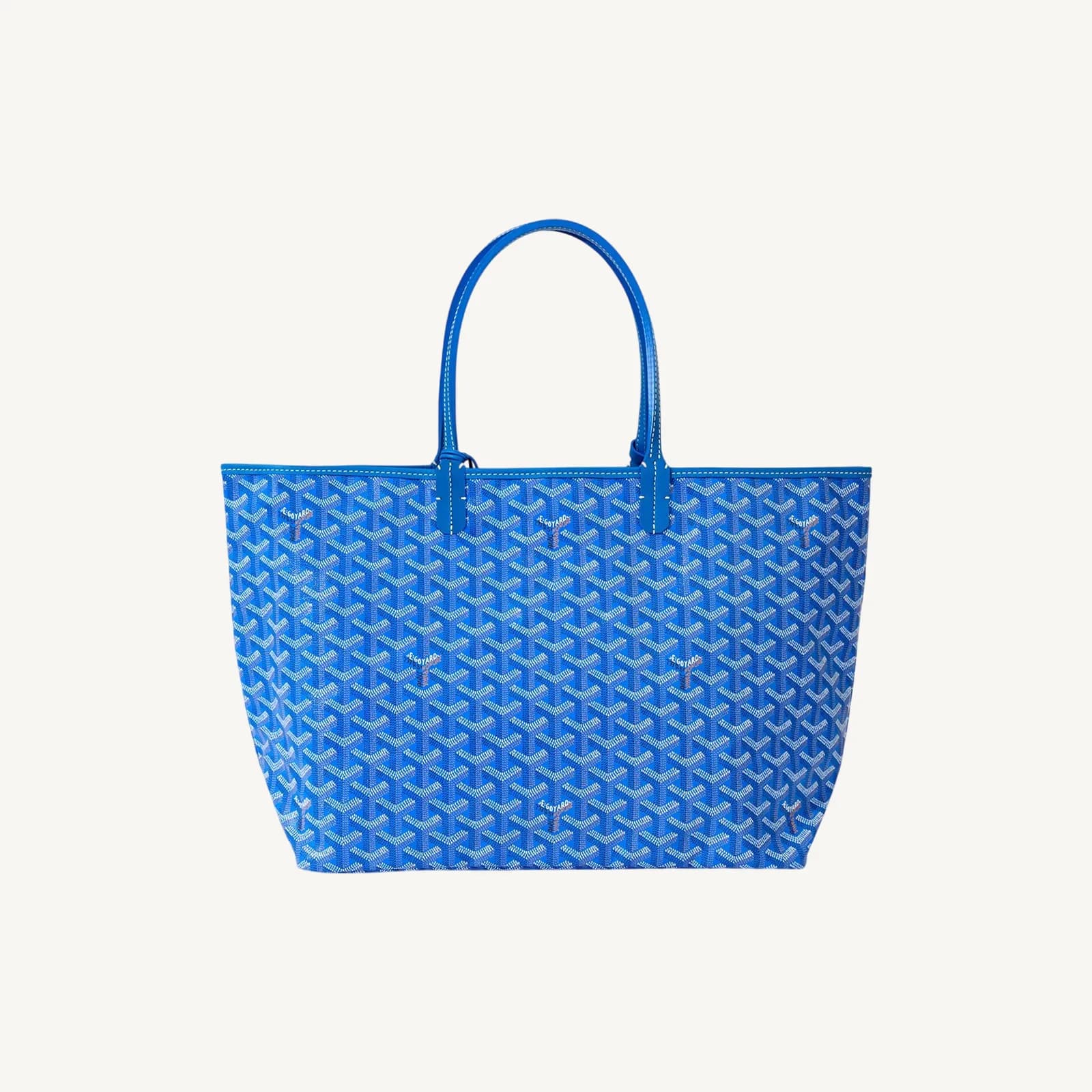 Goyard Saint Louis PM Sky Blue