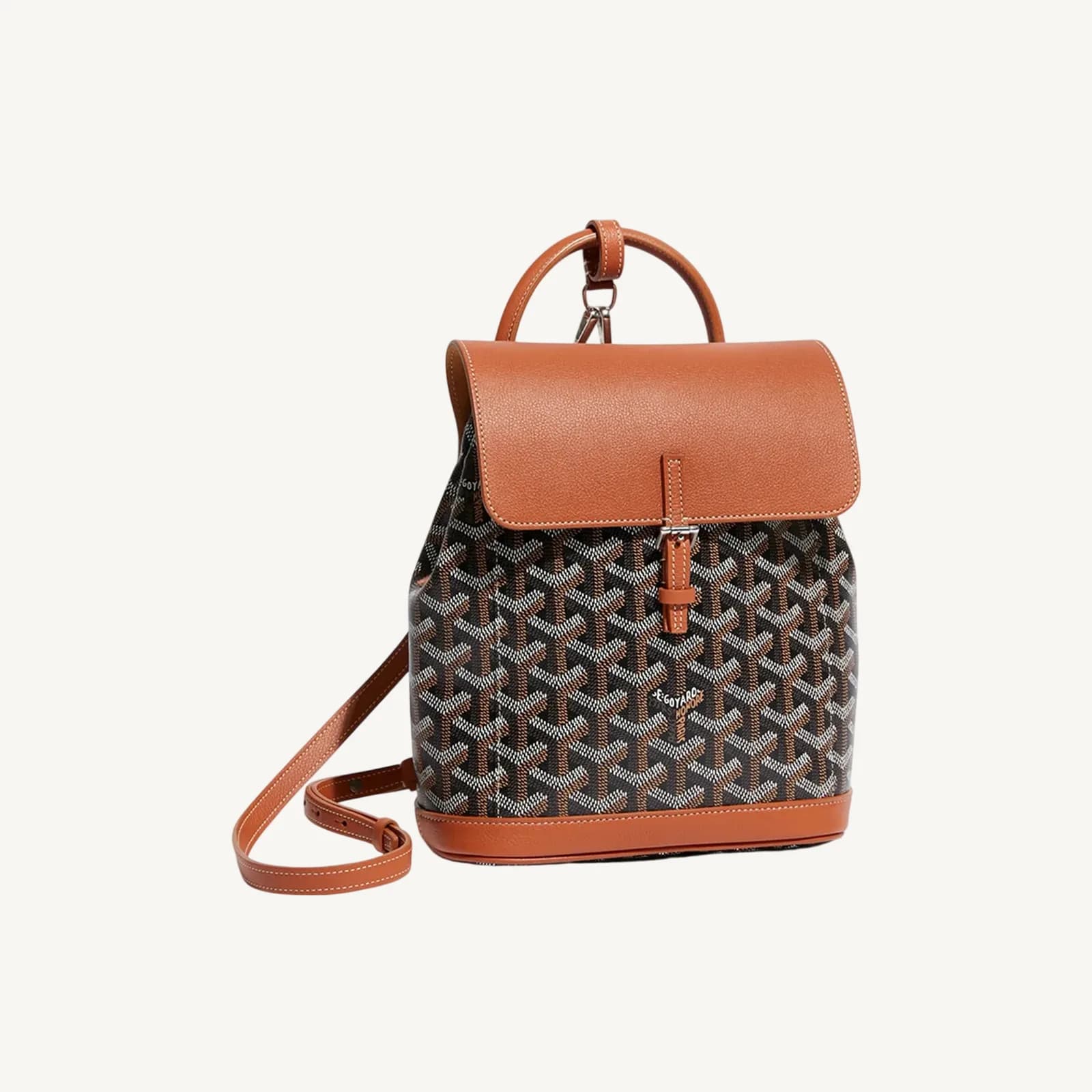 Goyard Alpin Mini Black & Tan
