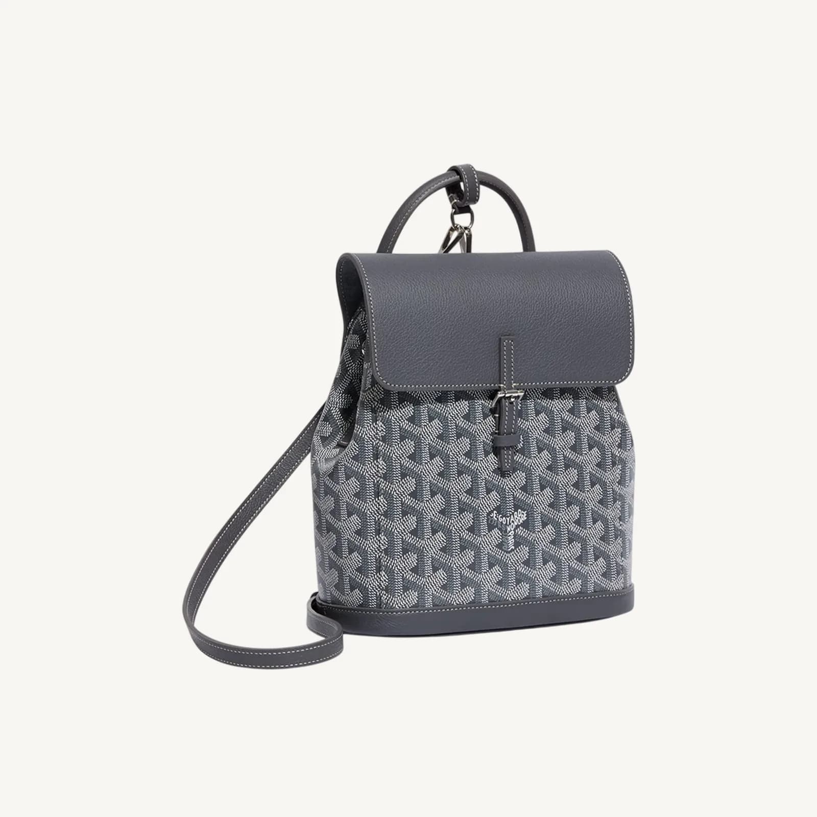 Goyard Alpin Mini Grey